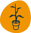 Logo planta