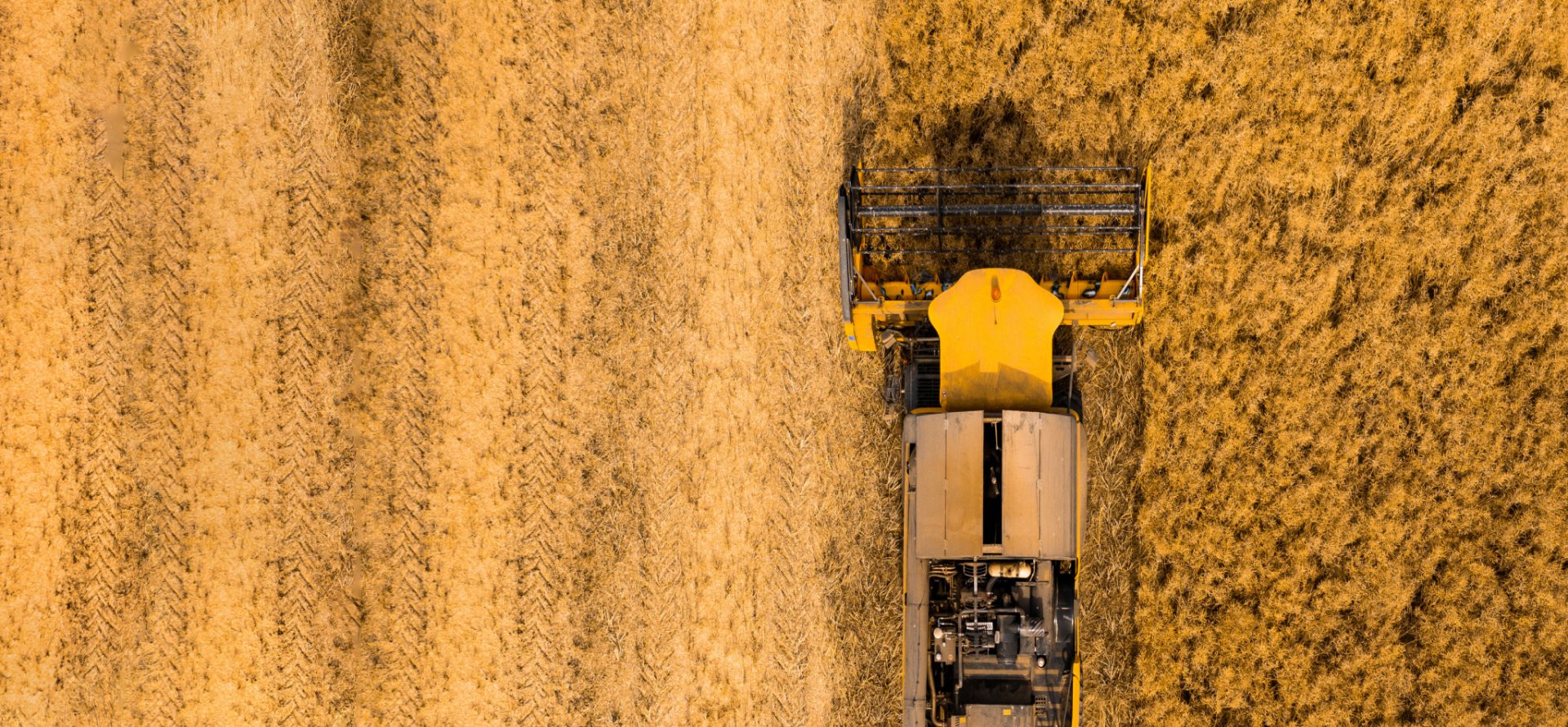 En la imagen se muestra la Maquina de labranza pasando por el campo.