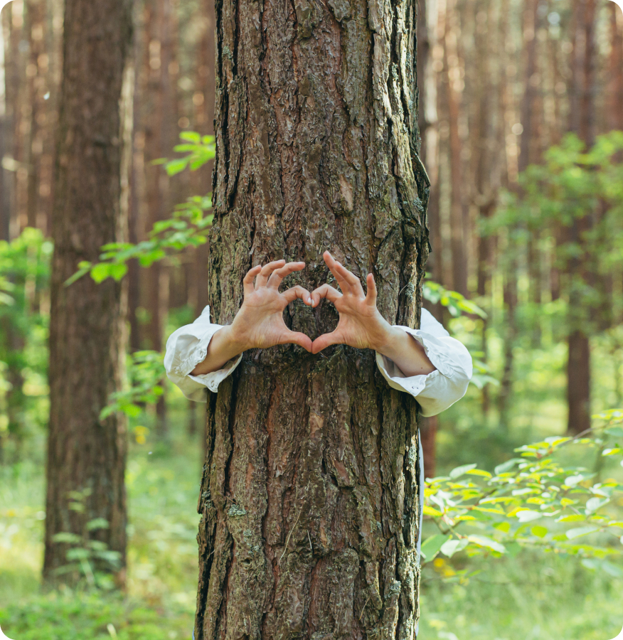 En la imagen se muestra un corazón con las manos rodeando un arbol en un bosque verde.